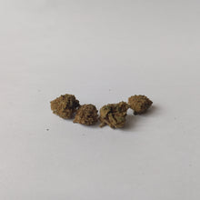 Load image into Gallery viewer, Lemon Haze (small buds)